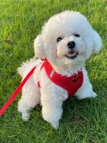 1pc Shiny Heart-Shaped Pet Harness With Pocket, Breathable & Comfortable Material, Sturdy Buckle, Suitable For Small To Medium Cats And Dogs, With Leash