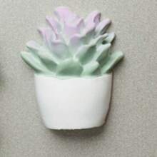 1pc 5pcs8pcs New Creative Plant Potted Cute Resin Succulent Cactus Pushpin/Fridge Magnet Photo Wall Office DIY Potted Pushpin Wall Nail Thumbtack Thumbtack Pushpin Wall Nail Decorative Photo Magnet Refrigerator Magnet Office Whiteboard Accessories Magnet Locker Magnet Photo Frame Style And Color Random Gifts Birthday Graduation