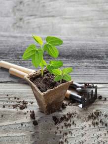 50/60/10/12 Cells Nursery Pots For Seedling, 1/5 Sets Seedling Pots Without Plant Label, Plant Seed Starters Kits For Garden, Waterproof In Early Stage, Dmposes Into Fertilizer Over Time