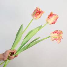 3pcs Parrot Tulip Artificial Flowers, Real Touch, Long Stems, Suitable For Bedroom, Living Room, Dining Room, Office, Cafe Tabletop, Home Decor, Aesthetics, Room Decoration, Wedding Party, DIY Spring Festival New Year Decor, Spring/Summer Decor, Premium Elegant Synthetic Tulips Easter Gifts Birthday Graduation