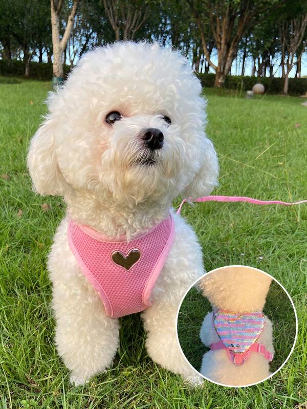 1pc Shiny Heart-Shaped Pet Harness With Pocket, Breathable & Comfortable Material, Sturdy Buckle, Suitable For Small To Medium Cats And Dogs, With Leash