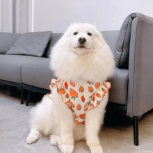 A Pet Medium And Large Dog Strawberry Ditsy Floral Skirt, A Pet Golden Retriever Labrador Cute Skirt - Red - View 3