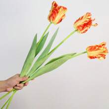 3pcs Parrot Tulip Artificial Flowers, Real Touch, Long Stems, Suitable For Bedroom, Living Room, Dining Room, Office, Cafe Tabletop, Home Decor, Aesthetics, Room Decoration, Wedding Party, DIY Spring Festival New Year Decor, Spring/Summer Decor, Premium Elegant Synthetic Tulips Easter Gifts Birthday Graduation