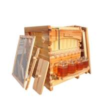 Auto Fowing Langstroth Bee Hives Honey House + 7 Beekeeping Frames + Hive Stand - 1 - View 7