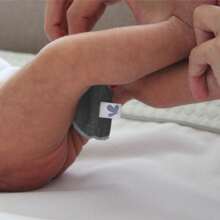 BAMI Conitos protectores (5 piezas) - Gris - Ver 4