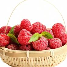 Heritage Raspberry Seeds For Planting - Raspberry Seeds - Bare Raspberry Seeds From Hand Picked Nursery - 50 - View 1