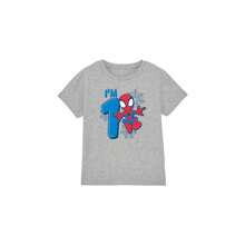 Marvel Spider-Man Childrens/Kids Cute Spidey 1st Birthday T-Shirt (Sport Heather)