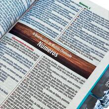 Bíblia Sagrada Evangélica Com Índice Abas Adesivas  leao judá