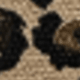 Leopard-9151