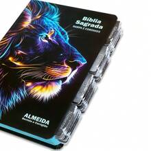 Bíblia Sagrada Evangélica Com Índice Abas Adesivas  raio azul