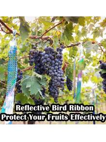 有效的驱鸟带，反光闪光反射器，使鸽子、鹰、鹅远离树木、植物和农作物