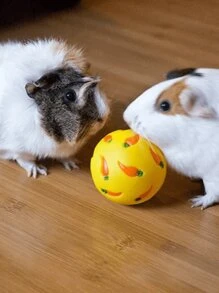 Kleine Tierspielzeugbälle, Kaninchen Leckerchen-Bälle, Langsamer Futterball, geeignet für Kaninchen, Hamster, Gleithörnchen, Kaninchen Langsamer Futterball Meerschweinchen Zuckerglieder Puzzle Spielzeug Karotte Motiv Ball Futter Spender auslaufsicher geeignet für Kleintiere, Kleine Tierleckerchen-Bälle, Kaninchen Leckerchen-Bälle, Kaninchen Futterbälle, Mäuse-Zubehör, Mäuse-Spielzeuge, Futterspielzeuge, Kaninchen-Spielzeuge, Kaninchen-Spielzeuge