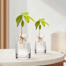 1Set Avocado Tree Growing Kits Hydroponic Seed Holder Nursery Container Set For Outdoor Indoor Planting Gifts Birthday Graduation - Clear - View 9
