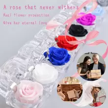 Boîte à bague rose éternelle en 9 couleurs | Bijou de fleur préservée, cadeau pour les mariages, la Saint-Valentin et les souvenirs de mariée (boîte-cadeau de luxe), plantes artificielles