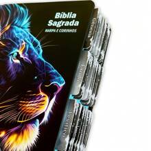 Bíblia Sagrada Evangélica Com Índice Abas Adesivas  raio azul