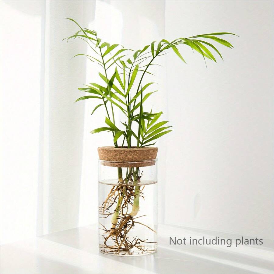 1pc Glass Vase For Hydroponics Desktop Decor, Suitable For Home, Plant Propagation Station, Living Room, Dining Table And Office Decoration