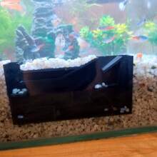 Aquarium Shrimp Maze With Multiple Rooms - Multicolor - View 3