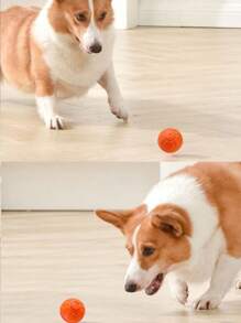 1pc Interactive Dog Toys Dog Ball,Durable Active Rolling Ball Wicked Ball,Automatic Moving Bouncing Rotating Ball For Puppy/Small/Medium Dogs,Fun And Engaging Gift ﻿Interactive Dog Toys Dog Ball,[Newly Upgraded] Durable Motion Activated Automatic Rolling Ball Toys For/Small/Medium/Large Dogs ﻿