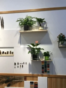 1 Peça Prateleira de Parede, Prateleira de Armazenamento de Linha Única, Sem Furos, Prateleira Suspensa para Decoração de Parede do Quarto, Prateleira de Madeira para Quarto