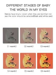 Black & White Flash Cards For Newborn Babies Visual Stimulation, 0-36 Months Infant Colorful Tracking Cards, Educational Cognitive Cards - Visual Cards - View 5