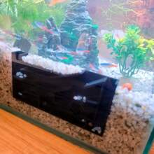 Aquarium Shrimp Maze With Multiple Rooms - Multicolor - View 5