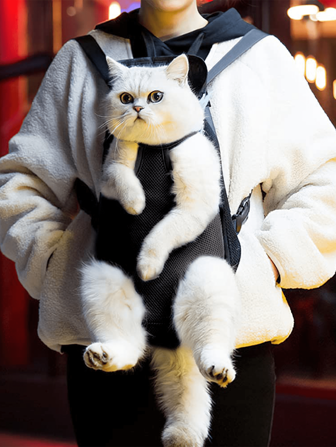 1 件腿朝前宠物狗背带，前胸背包，宠物猫小狗手提包，适用于小狗饲养