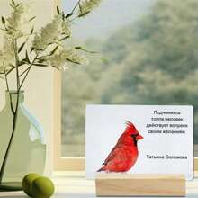 4 件木制明信片架，松木底座，桌面日历展示，创意留言照片便签架，适用于书桌、桌子、复活节和各种节日的装饰 - 彩色 - 查看 9