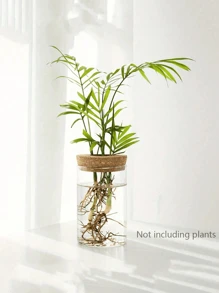 1. 桌面玻璃水培花盆，家居装饰花瓶，植物盆栽，装饰花盆，植物繁殖花瓶，客厅桌面水培植物花瓶，餐桌装饰，厨房和办公室装饰（不含竹托盘），花园装饰，花园花盆，花园配件。教师节礼物，送给朋友和同学的礼物，圣诞节礼物。