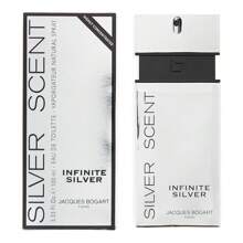 Jacques Bogart Silver Scent Infinite Silver Eau De Toilette 100ml - Oriental Woody - View 1