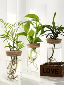 1. 桌面玻璃水培花盆，家居装饰花瓶，植物盆栽，装饰花盆，植物繁殖花瓶，客厅桌面水培植物花瓶，餐桌装饰，厨房和办公室装饰（不含竹托盘），花园装饰，花园花盆，花园配件。教师节礼物，送给朋友和同学的礼物，圣诞节礼物。