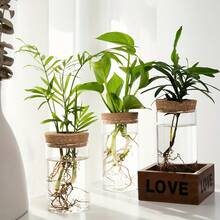 1pc Glass Vase For Hydroponics Desktop Decor, Suitable For Home, Plant Propagation Station, Living Room, Dining Table And Office Decoration - Clear - View 4