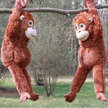 Realistic Gorilla Plush Pillow & Wall Decor - Perfect For Christmas, Anniversaries & Holidays - 彩色 - 查看 5