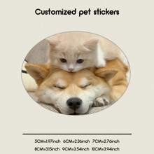 [Custom] Laminated Pet Sticker, Carry Your Beloved Pet Cuteness Everywhere. Whether It Is On A Water Cup, Notebook, Or Luggage, You Can Always Feel The Warm Companionship Of Your Furry Friend.,Back To School Fashion - Multicolor - View 59