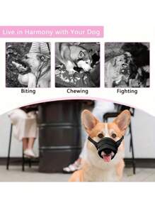 1 件黑色狗嘴套，防咬防吠，允许饮水和喂食，适合金毛猎犬和贵宾犬等中小型犬