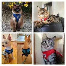 Dog Harnesses Leash, Mesh Cloth Pet Collars, Puppy Breathable Reflective Lead Dog Rope, Adjustable Pet Supplies