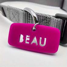 1 pièce Sac acrylique personnalisé avec marque pour animaux de compagnie, cadeau parfait pour les meilleurs amis, la fête des mères, la fête des pères, la Saint-Valentin - Accessoires modernes pour chiens et chats - Multicolore - Voir 4