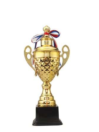 Kampioenstrofee voor sportwedstrijden, winnaars- en tweedeprijstrofeeën voor bedrijfs-, school- en studentenevenementen