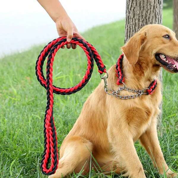 Correa Collar Perro Grande Gruesa Resistente Suave Larga
