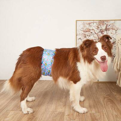 1 pièce Nouveau pantalon physiologique pour chien mâle, peut changer les couches, anti-harcèlement pour chien avec petit chien. Couches lavables pour animaux de compagnie. Pantalon sanitaire pour animaux de compagnie