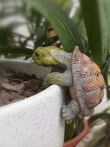 1 件树脂可爱乌龟花盆挂架乌龟花盆挂架乌龟花盆可爱动物形状花盆植物伙伴庭院装饰品户外花盆装饰品