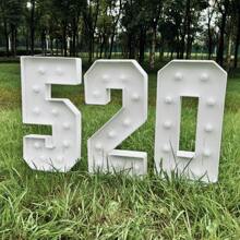 1 件 73 厘米/28.7 英寸发光数字跑马灯框白灯 KT 板数字 0-9 插入式 KT 板派对装饰灯生日派对周年装饰 - 冷白光 - 白色 - 查看 4