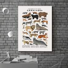 Chart, Framed Educational Wall Art, Modern Aesthetic Wall Artwork For Study Or Wildlife Center, Perfect Nature Gift - White - View 10