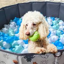 50pcs Star Shape Ball Pit Balls, Ocean Balls For Ball Pool, Kids Indoor Outdoor Family Toys, Crush-Proof Colorful Ocean Balls For Baby Or Toddler Ball Pit, Water Bath Toy, Room &Party Decorations, Plastic Balls Perfect For Pool And Party