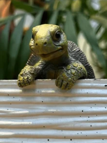 1 件树脂可爱乌龟花盆挂架乌龟花盆挂架乌龟花盆可爱动物形状花盆植物伙伴庭院装饰品户外花盆装饰品