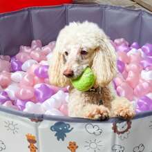 50pcs Star Shape Ball Pit Balls, Ocean Balls For Ball Pool, Kids Indoor Outdoor Family Toys, Crush-Proof Colorful Ocean Balls For Baby Or Toddler Ball Pit, Water Bath Toy, Room &Party Decorations, Plastic Balls Perfect For Pool And Party