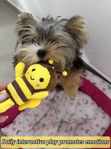 2 paquetes de juguetes para masticar para cachorros - Diseño lindo de abeja para cachorros en etapa de dentición y perros pequeños, masticables para limpieza dental para aliviar el aburrimiento y juego interactivo