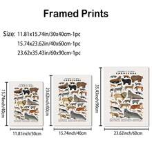 Chart, Framed Educational Wall Art, Modern Aesthetic Wall Artwork For Study Or Wildlife Center, Perfect Nature Gift - White - View 3