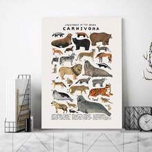 Chart, Framed Educational Wall Art, Modern Aesthetic Wall Artwork For Study Or Wildlife Center, Perfect Nature Gift - White - View 8