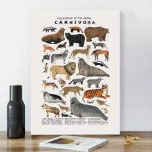 Chart, Framed Educational Wall Art, Modern Aesthetic Wall Artwork For Study Or Wildlife Center, Perfect Nature Gift - White - View 6