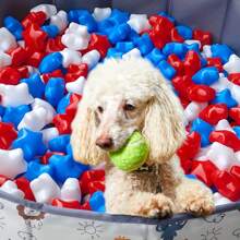 50pcs Star Shape Ball Pit Balls, Ocean Balls For Ball Pool, Kids Indoor Outdoor Family Toys, Crush-Proof Colorful Ocean Balls For Baby Or Toddler Ball Pit, Water Bath Toy, Room &Party Decorations, Plastic Balls Perfect For Pool And Party